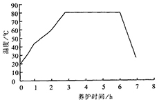 蒸汽養(yǎng)護溫度曲線